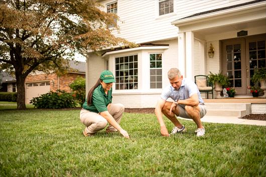 Lawn care technician looking at lawn with customer